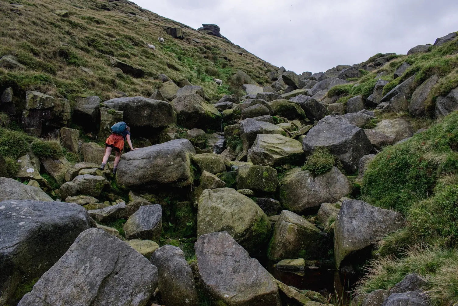 Fairbrook Naze: an alternative scramble onto the Kinder Scout plateau with added wild swimming spots. My Urban Trail