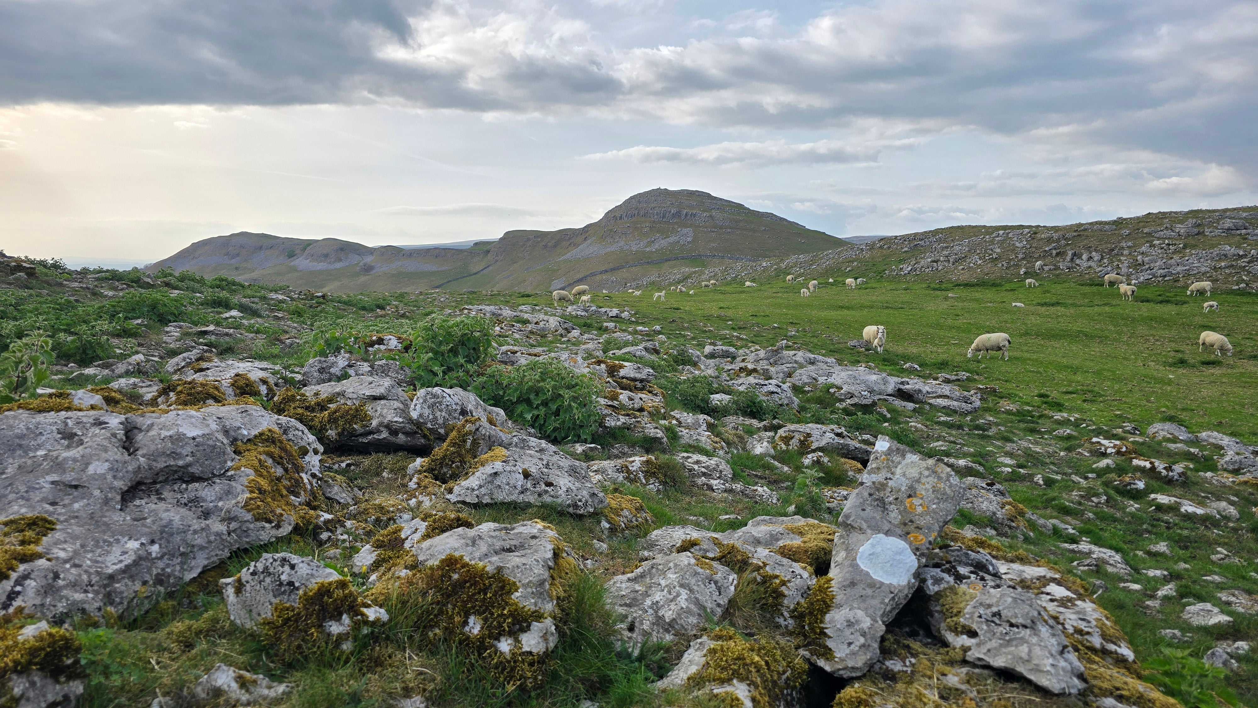 Yorkshire Dales walk & wild swim: Smearsett Scar circular