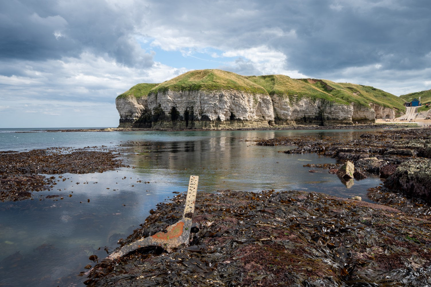 Bempton Cliffs Coastal Walk - East Yorkshire