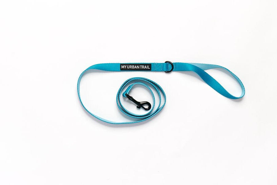 WILD THING Teal Lead