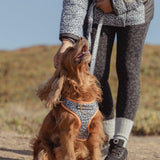 WILD THING Grey Leopard Adjustable Dog Harness