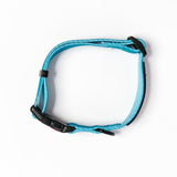 WILD THING Teal Safety Clasp Collar