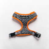 WILD THING Grey Leopard Adjustable Dog Harness
