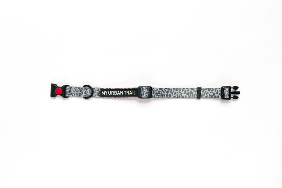 WILD THING Grey Leopard Safety Clasp Collar
