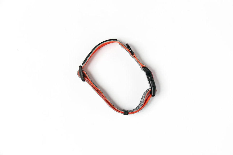 WILD THING Grey Leopard Safety Clasp Collar