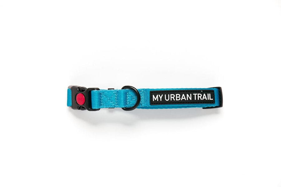 WILD THING Teal Safety Clasp Collar