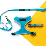 WILD THING Teal Safety Clasp Collar