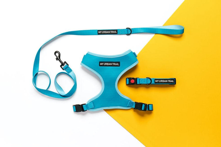 WILD THING Teal Safety Clasp Collar