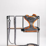 WILD THING Grey Leopard Adjustable Dog Harness