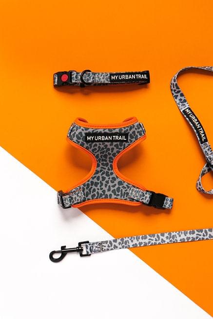 WILD THING Grey Leopard Safety Clasp Collar
