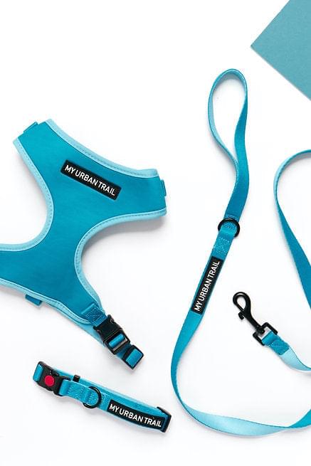 WILD THING Teal Adjustable Dog Harness